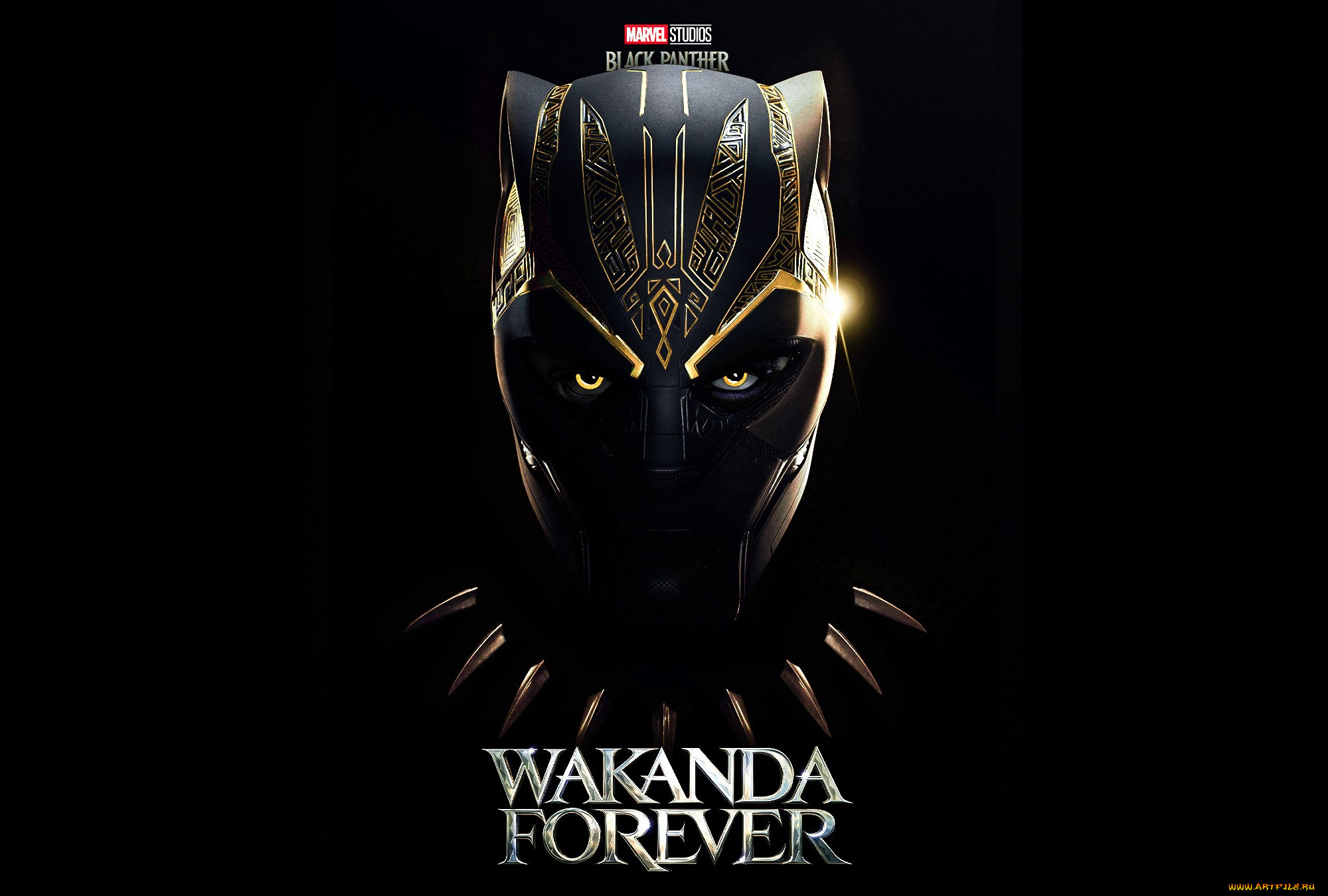 Пантера 2022. Black Panther Wakanda Forever 2022. Чёрная пантера: Ваканда навсегда фильм 2022. Чёрная пантера Ваканда навеки. Чёрная пантера Ваканда навеки Постер.